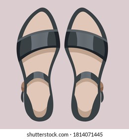 beautiful colored pair of shoes on a colored background