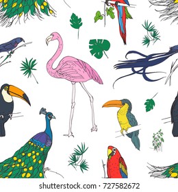 Beautiful colored seamless pattern with tropical birds and exotic leaves hand drawn on white background. Colorful vector illustration for wallpaper, fabric print, wrapping paper.