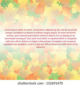 Beautiful colorful automn background