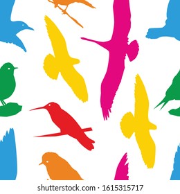 Beautiful and colorful bird pattern