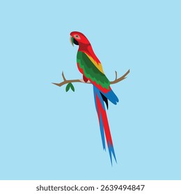 Beautiful colorful bird vector illustration