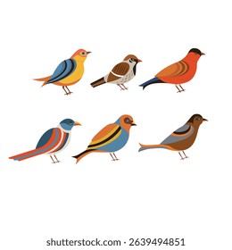 Beautiful colorful bird vector illustration