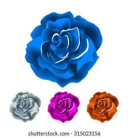 Beautiful colorful blue Rose Flower isolated on white background. Vector illustration