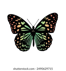  beautiful colorful bright multicolored tropical butterflies with wings spread and in flight isolated on a white background, close-up macro