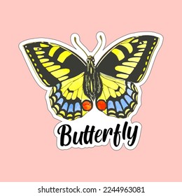 Beautiful colorful butterflies. Butterfly illustration for stickers or print. Butterfly vector design