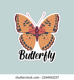 Beautiful colorful butterflies. Butterfly illustration for stickers or print. Butterfly vector design