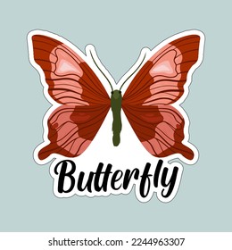 Beautiful colorful butterflies. Butterfly illustration for stickers or print. Butterfly vector design