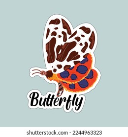 Beautiful colorful butterflies. Butterfly illustration for stickers or print. Butterfly vector design