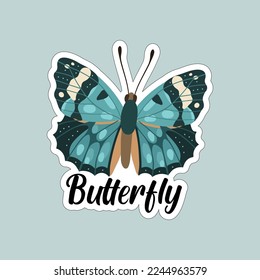 Beautiful colorful butterflies. Butterfly illustration for stickers or print. Butterfly vector design
