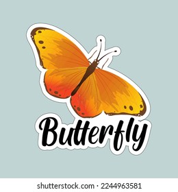 Beautiful colorful butterflies. Butterfly illustration for stickers or print. Butterfly vector design