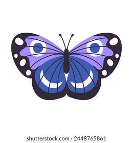 Beautiful colorful butterflies, vector illustration isolated on white background