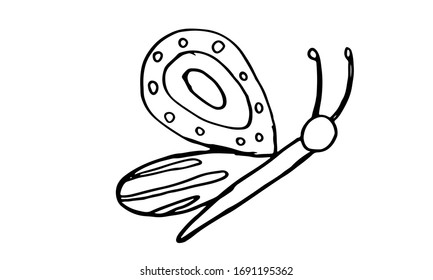 Beautiful colorful butterfly isolated on a white background. Hand drawing line vector sketch