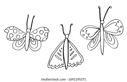 Beautiful colorful butterfly isolated on a white background. Hand drawing line vector sketch