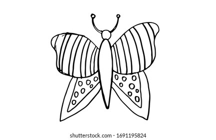 Beautiful colorful butterfly isolated on a white background. Hand drawing line vector sketch