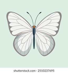 Hermoso diseño colorido del Vector de la mariposa con alas transparentes, ideal para el arte digital, proyectos temáticos de Naturaleza, carteles y creación creativa de bricolaje.