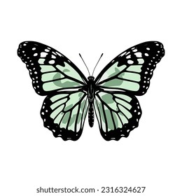 Beautiful colorful cartoon exotic vector isolated on white pastel green butterfly with colorful wings and antennae sticker
