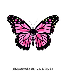 Beautiful colorful cartoon exotic vector isolated on white pastel pink butterfly with colorful wings and antennae sticker