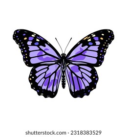 Beautiful colorful cartoon exotic vector isolated on white pastel purple butterfly with colorful wings and antennae sticker