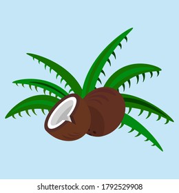 Beautiful colorful coconut palm vector isolated illustration