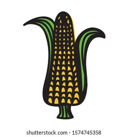 Beautiful colorful corn. Vector illustration