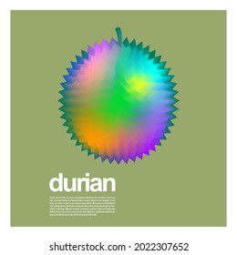 Beautiful Colorful Durian Fruit Vector