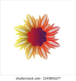  Beautiful colorful flower. Vector illustration