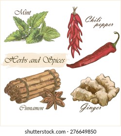 Beautiful colorful herbs and spices set