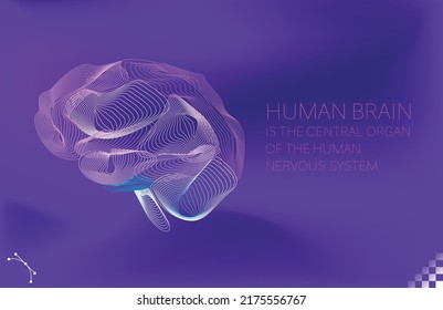 hermoso cerebro humano colorido cerebelo visión lateral de órganos línea arte sobre fondo oscuro. Similar a una plataforma de modelado 3D, un patrón de malla geométrica