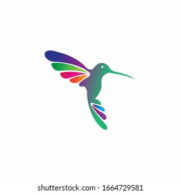 Beautiful  colorful hummingbird vector logo design