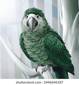 Beautiful Colorful Kakapo Parrot Vector Illustration on a Plan White Background, The kakapo is a nocturnal, flightless parrot, Wild endemic flightless Kakapo Parrot Endemic to New Zealand, Owl Parrot