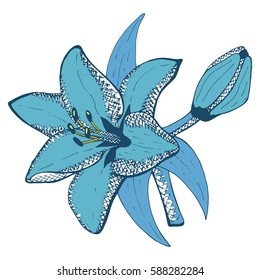 beautiful colorful lily flower isolated. Hand-drawn spring color flower. design greeting card and invitation of the wedding, birthday, Valentine's Day, earth day, spring day, mother's day 