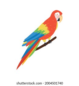 Beautiful colorful macaw parrot sitting on tree branch 3d isometric vector illustration