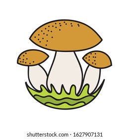 Beautiful colorful mushrooms. Vector illustration