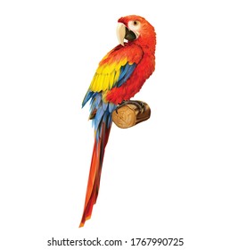 Hermoso loro colorido Ara Macaw