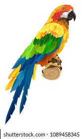 Beautiful colorful parrot on twig. Bird, fauna, wildlife. Tropics concept. Can be used for greeting cards, posters, leaflets and brochure