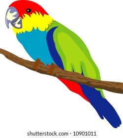 beautiful colorful parrot sitting on a branch