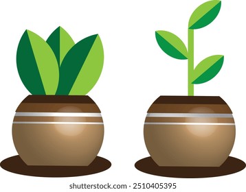 Beautiful And Colorful Plant Design