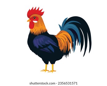 Hermoso gallo de colores aislado en ilustración blanca vectorial