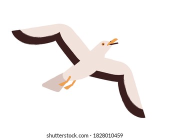 Beautiful colorful seagull flying up or take off with open beak vector flat illustration. Marine bird enjoying flight isolated on white. Cute wild atlantic or antarctic seabird