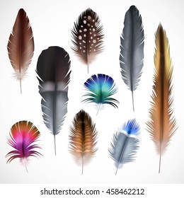 Beautiful colorful small and big bird realistic feathers set isolated on white background vector illustration