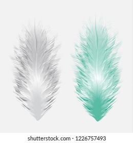 Beautiful colorful small and big realistic bird feathers isolated on white background. Vector illustration.