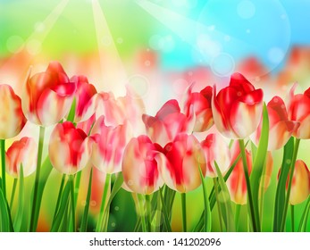 Beautiful colorful tulips in garden. And also includes EPS 10 vector