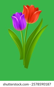 beautiful colorful tulips vector illustration