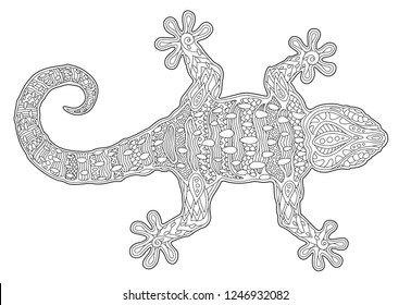 Beautiful coloring book page with silhouette of gecko on white background