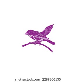 a beautiful coloring wild bird out line artwork drawing illustration