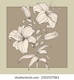 beautiful colorless flower picture vector illustrator