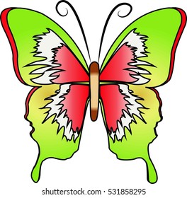 Beautiful colors of a butterfly. vector