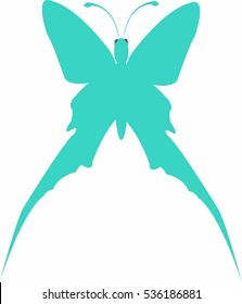 Beautiful colors of a butterfly. vector