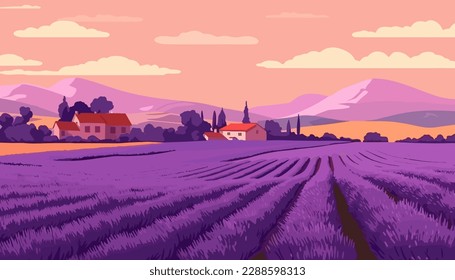 Beautiful colors purple lavender fields Provence in France. Vector illustration.