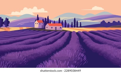 Beautiful colors purple lavender fields Provence in France. Vector illustration.